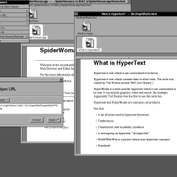 The Earliest Web; The Story of SpiderWoman